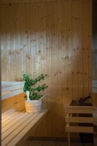 a plant sitting on a shelf in a sauna at Lannavaara Lodge in Lannavaara