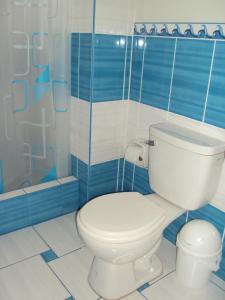 a bathroom with a toilet and a shower at Nasca Lodge in Nazca