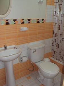 a bathroom with a white toilet and a sink at Nasca Lodge in Nazca