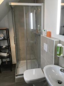 a bathroom with a shower and a toilet and a sink at Hotel Alt Annaberg in Annaberg-Buchholz