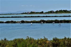 Táj Show holiday homes közelében