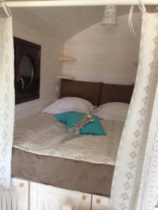 un letto a baldacchino in una stanza di La Roulotte CLERELU - Du domaine des Ramonets a Cahors