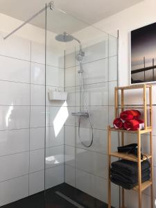 a shower with a glass door in a bathroom at Ferienwohnung Kohls in Steinheim