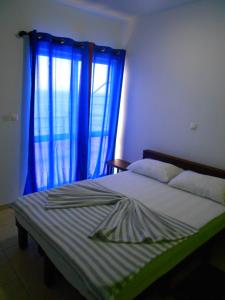 um quarto com uma cama com cortinas azuis e uma cama sidx sidx em Guest House Frontera em Pinto