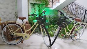 a couple of bikes parked next to a plant at Hotel San Miguel Imperial in Santa Marta +38 photos
