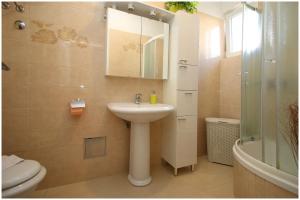 een badkamer met een wastafel, een toilet en een douche bij Apartment Slavko in Primošten