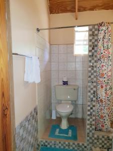 Ένα μπάνιο στο Seawind Cottage Authentic St.Lucian Accommodation near Plantation Beach