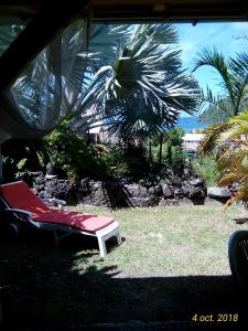 Příroda nedaleko apartmánu + 8 fotografií