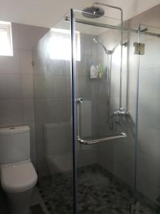 uma casa de banho com um chuveiro e um WC. em Villa Pupunu Dodo a Pereybere em Pereybere