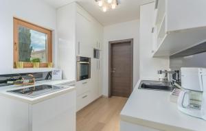 Kuchyňa alebo kuchynka v ubytovaní Villa Mala