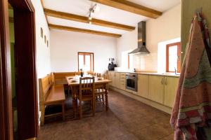 Kuchyňa alebo kuchynka v ubytovaní Holiday Villa Stupna