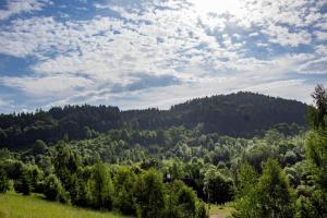 Príroda v okolí vily