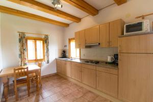 Kuchyňa alebo kuchynka v ubytovaní Holiday Villa Stupna + 30 fotografií