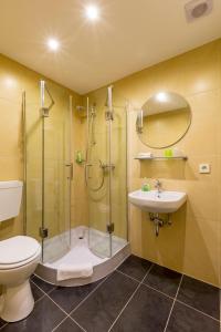 a bathroom with a shower and a toilet and a sink at Hotel Lang in Breidenbach