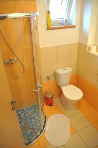 een badkamer met een toilet en een douche bij Ubytování Na Sklípku in Jevišovka