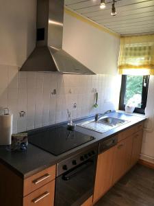 cocina con fregadero y fogones en Ferienwohnung Schäffer en Regensburg