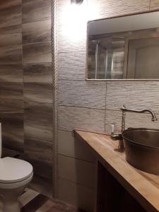 a bathroom with a sink and a toilet and a mirror at Brīvdienu māja Melderi in Ape +44 photos