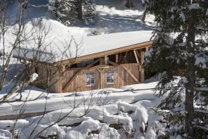 Almnest in Hochfügen mit privat SPA durante l'inverno