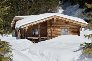 Almnest in Hochfügen mit privat SPA durante l'inverno