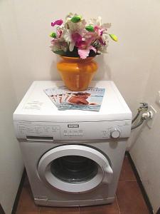 ビビオーネにあるTiepoloの洗濯機の上に座る花瓶