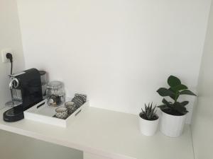 un bancone con una macchinetta del caffè e piante sopra di Antwerp Town House Accommodations ad Anversa