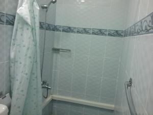 a bathroom with a shower with a shower curtain at La Plaine Verte Guesthouse in Port Louis +23 photos