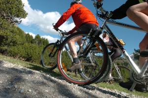 Катание на велосипеде по территории Albergo La Veranda или окрестностям