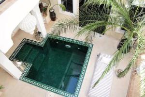 widok na basen z palmą w obiekcie Riad SHIRAZ w Marakeszu