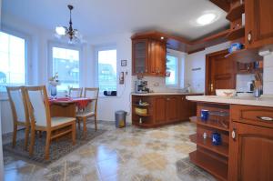 A kitchen or kitchenette at Privat Ivan