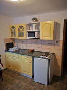 Kuchyň nebo kuchyňský kout v ubytování Ráday Apartman