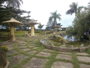 Vườn quanh Nhà nghỉ Hạnh Minh