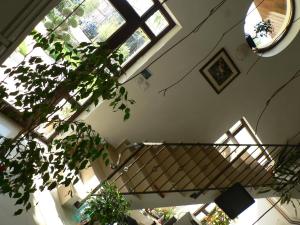 Fotografie z fotogalerie ubytování Casa Havana v destinaci Costineşti