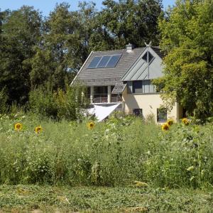 a house with a solar roof with a field of sunflowers at Ferienwohnungen Burger Nachtigall in Burg
