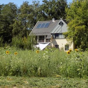 ein Haus mit einem Sonnendach mit einem Sonnenblumenfeld in der Unterkunft Ferienwohnungen Burger Nachtigall in Burg