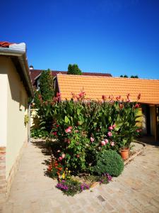 Zahrada ubytování Ráday Apartman