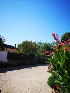 Zahrada ubytování Ráday Apartman