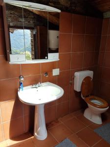 a bathroom with a sink and a toilet at Casa Accogliente Valle Cannobina in Le Biuse