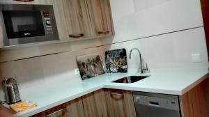 Kuchyňa alebo kuchynka v ubytovaní Apartamento Santa Faz + 14 fotografií