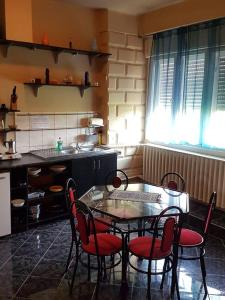 a kitchen with a table and chairs in a kitchen at Szőke Tisza Vendégház in Szajol