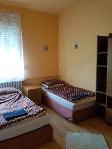 Szajol的住宿－Szőke Tisza Vendégház，一间卧室设有两张床和窗户。