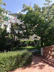 un jardín con un árbol y un edificio en Apartamentos Cerro Negro, en Capileira