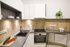 Kuchyňa alebo kuchynka v ubytovaní R&B APARTMENTS POZNAŃ