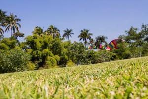 een vlieger die in de lucht vliegt boven een grasveld bij El Rollo Camping in Tlaquiltenango