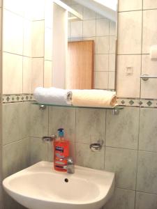 Vonios kambarys apgyvendinimo įstaigoje Guest House Karević