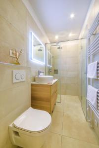 ein Bad mit einem WC, einem Waschbecken und einer Dusche in der Unterkunft Bacvice apartment Slavija in Split