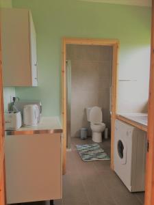 a kitchen with a sink and a toilet in a room at Maes y Môr in Llanarth