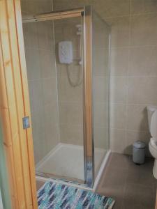 a shower with a glass door in a bathroom at Maes y Môr in Llanarth