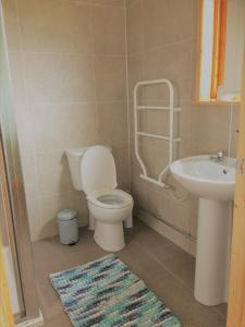a bathroom with a toilet and a sink at Maes y Môr in Llanarth