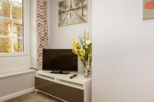 a living room with a television and a vase of flowers at Stirling Central Apartment in Stirling