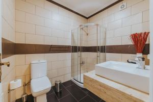 La salle de bains est pourvue de toilettes, d'un lavabo et d'une douche. dans l'établissement Old City Apartment, à Funchal